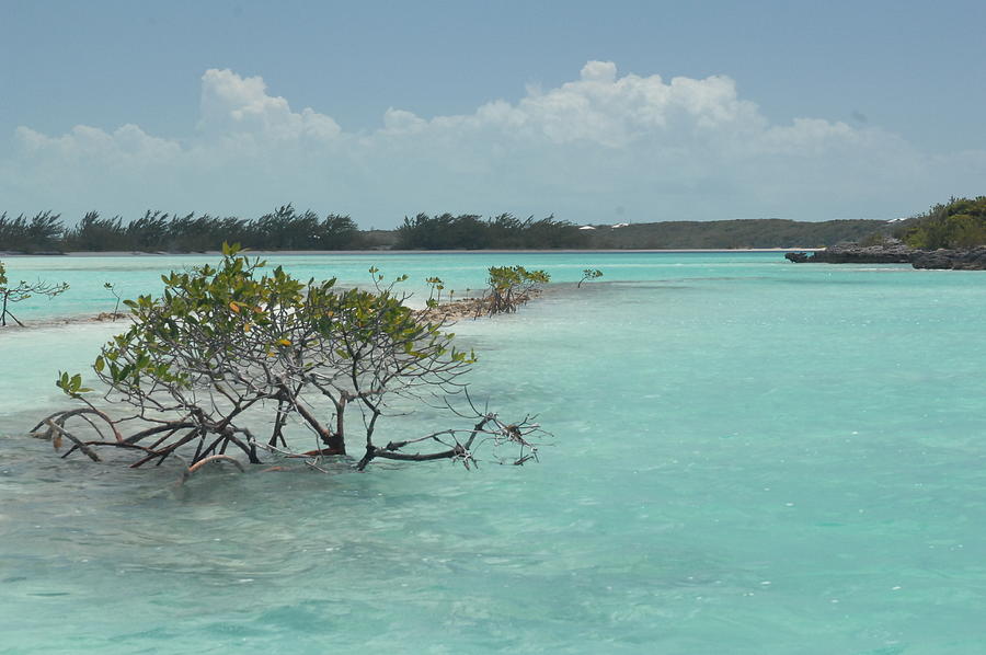 Caribbean Paradise in Turquoise Waters, Exuma Bahamas Photograph by Bonnie Colgan