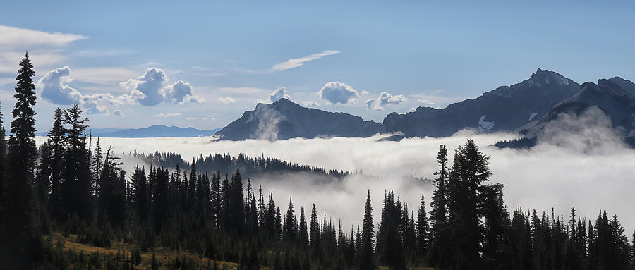 Mount Rainier National Park Photograph - Paradise by Ivie Metzen
