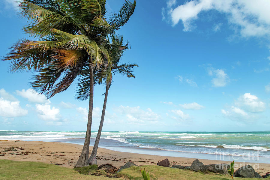 Paradise on the Coast, Pinones, Puerto Rico Photograph by Beachtown Views