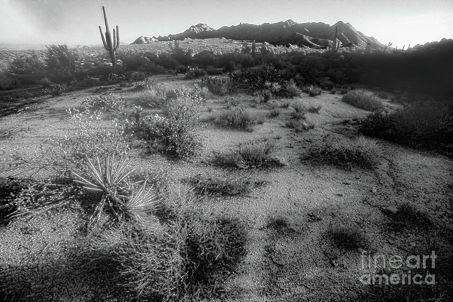 Paradise Valley - View 1 - Black And White Digital Art by Anthony Ellis