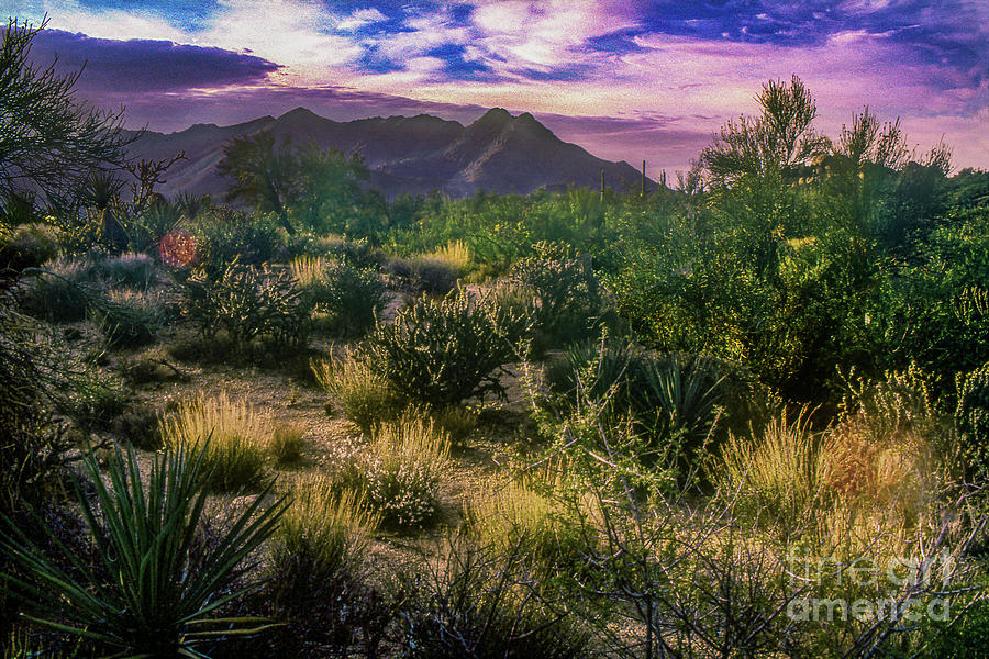 Paradise Valley - View Two Digital Art by Anthony Ellis