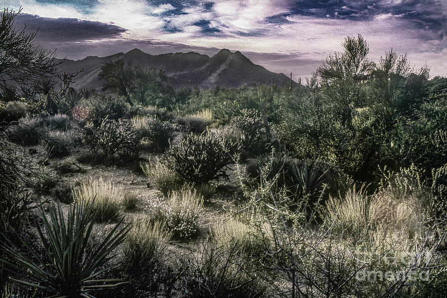 Paradise Valley - View Two - Monochrome Digital Art by Anthony Ellis