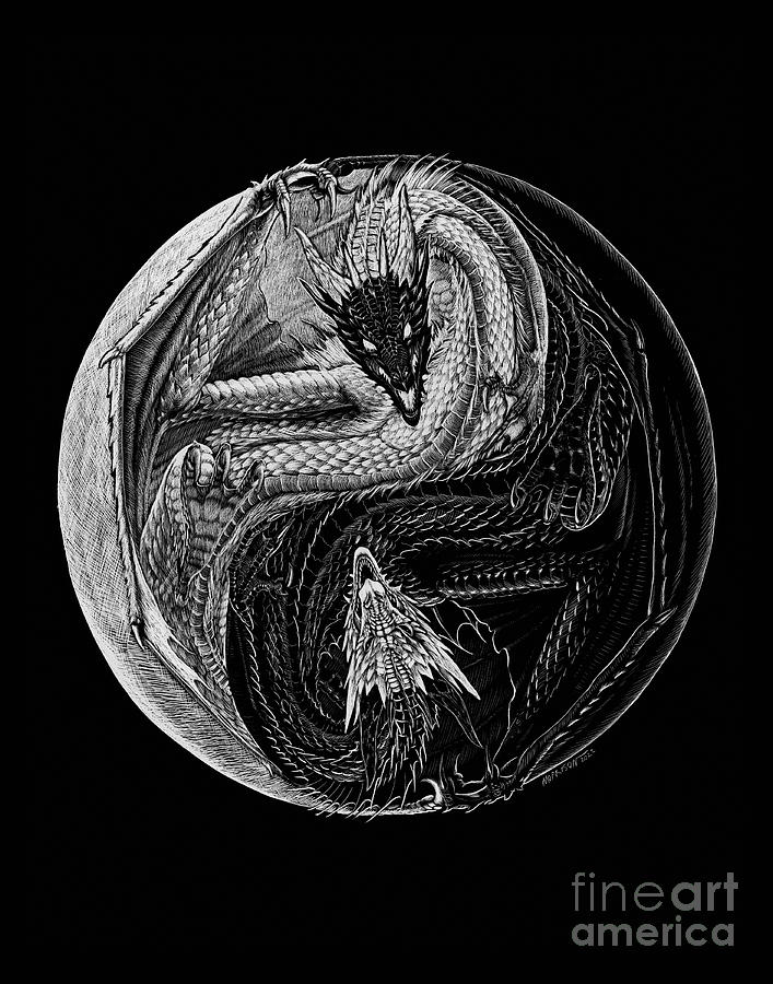Dragon Drawing - Paradox Yin Yang by Stanley Morrison