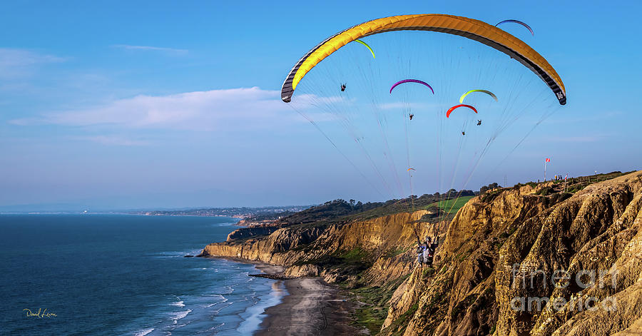 Paragliders Flying Over Torrey Pines Photograph by David Levin