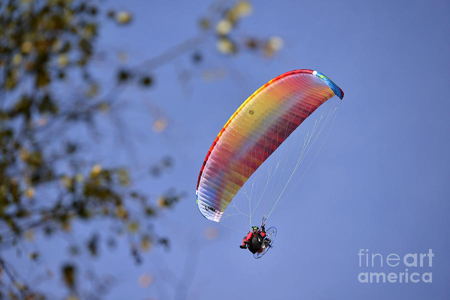Paragliding 1 Photograph by Esko Lindell