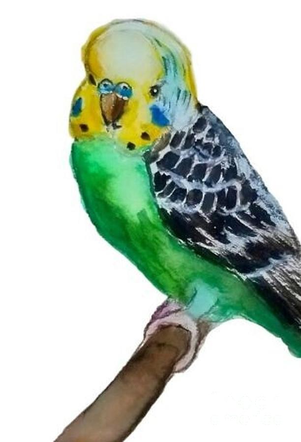 Parakeet Budgie ACEO- Original Painting Painting by J Varg