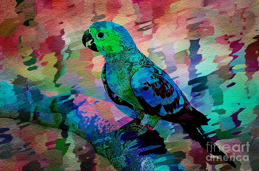 Parakeet Of Color Painting