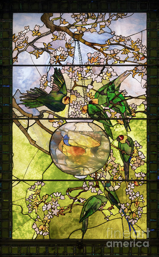 Parakeets and Gold Fish Bowl, circa 1893 Photograph by Louis Comfort ...