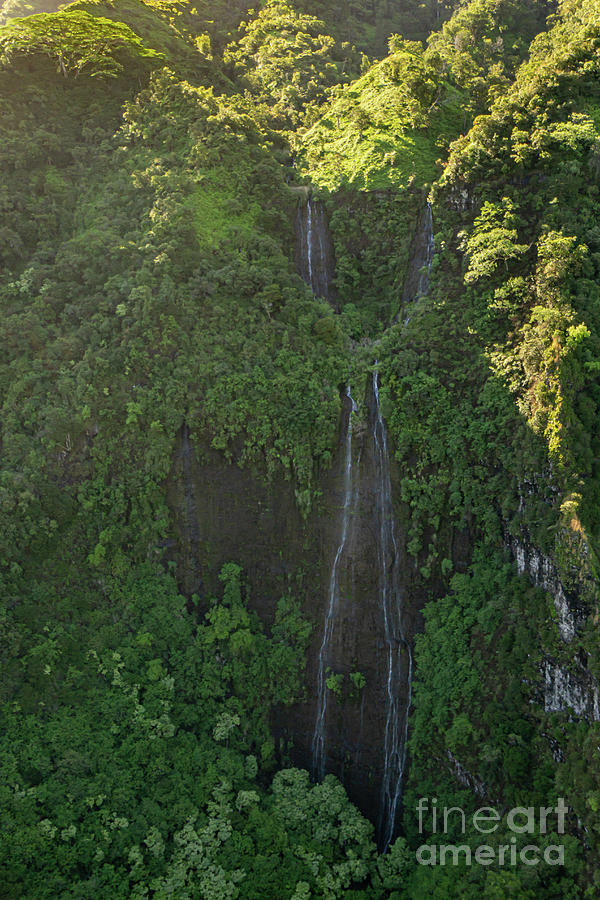 Tree Photograph - Parallel Waterfall Streams on Kauai by Nancy Gleason