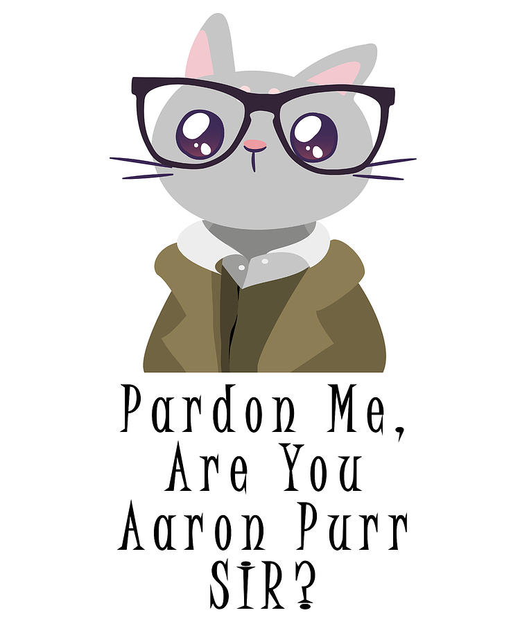 Pardon Me Are You Aaron Purr Sir T-Shirt by Toms Tee Store - Pixels