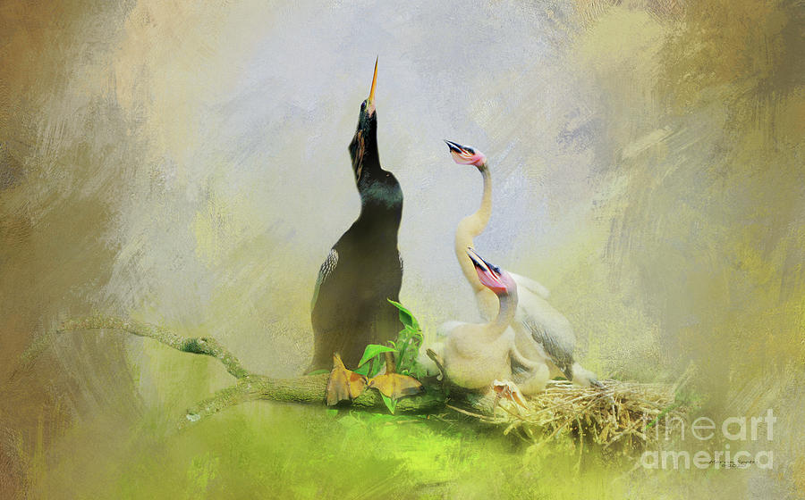 Anhinga Mixed Media - Parent Love by Marvin Spates