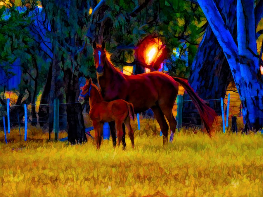 Paris And Foal At Sunset Mixed Media by Joan Stratton