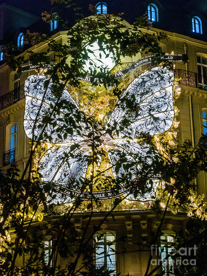 Butterfly Photograph - PARIS at CHRISTMAS NIGHT # 1. by Alexander Vinogradov