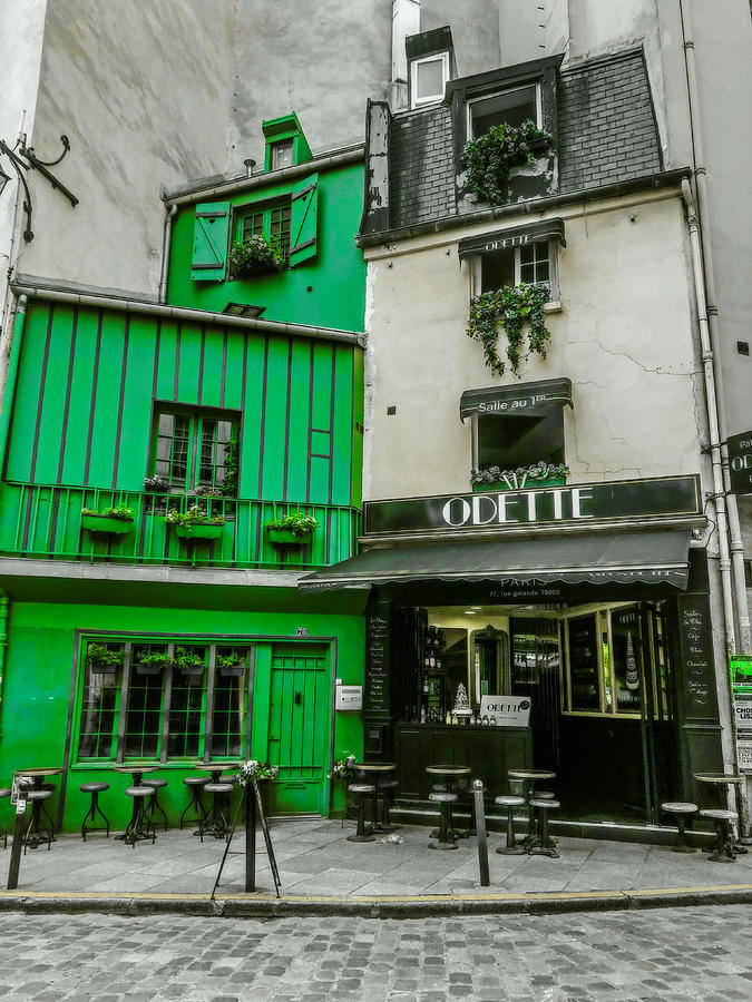Paris Cafe Green Selective Color Photograph by Lisa Soots