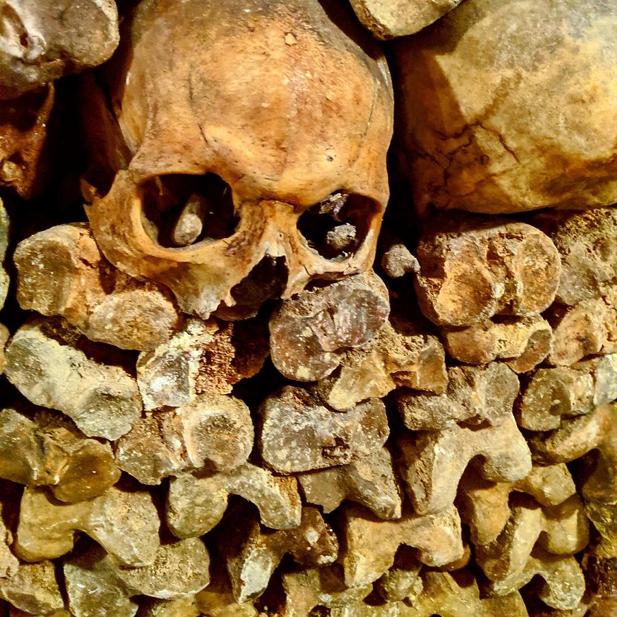 Halloween Movie Photograph - Paris Catacombs Skull by Jera Sky