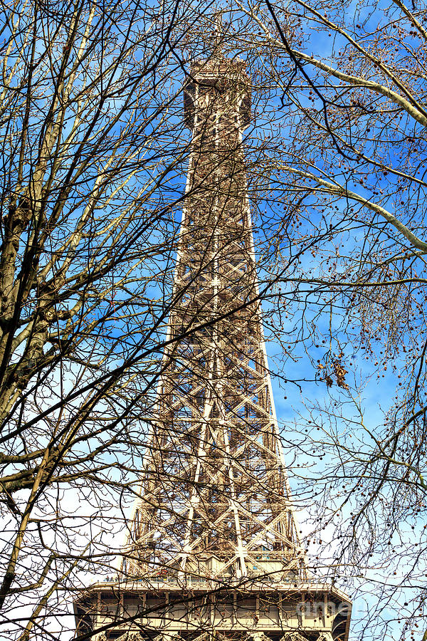 Paris Eiffel Tower Behind the Branches Photograph by John Rizzuto