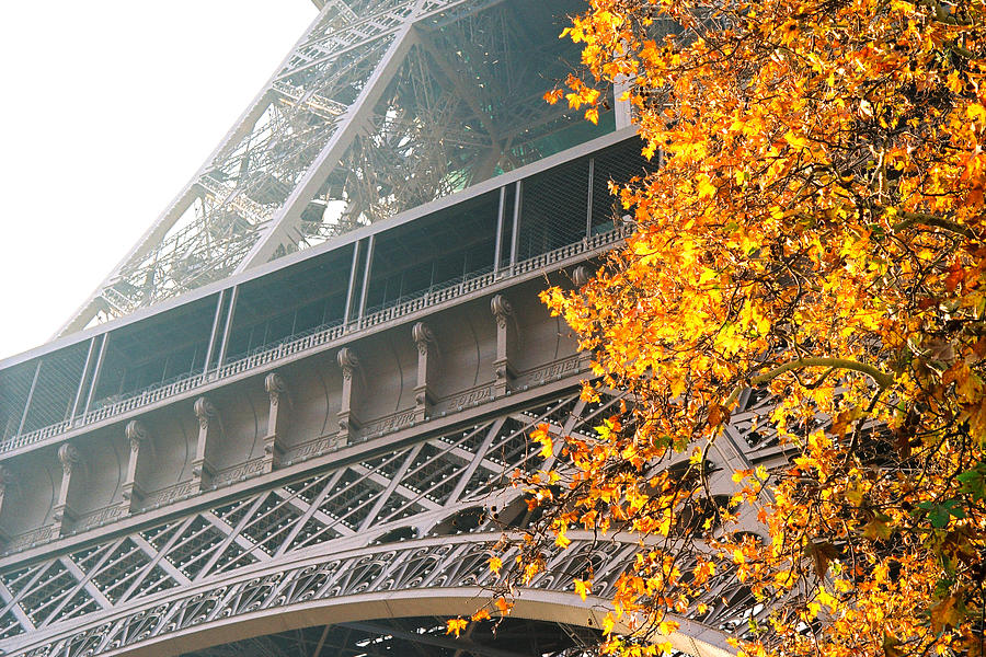 Paris Eiffel Tower Photograph by Claude Taylor