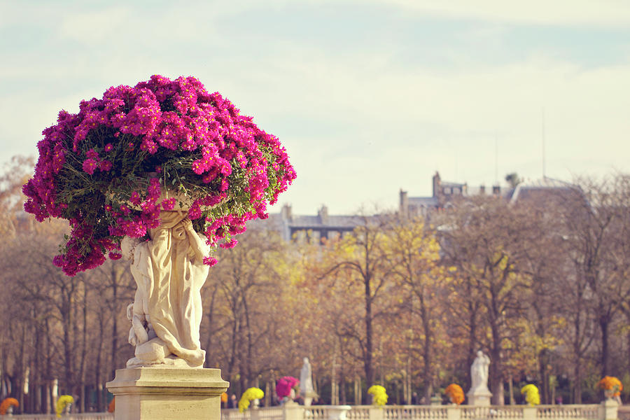 Paris Gardens Photograph by Melanie Alexandra Price