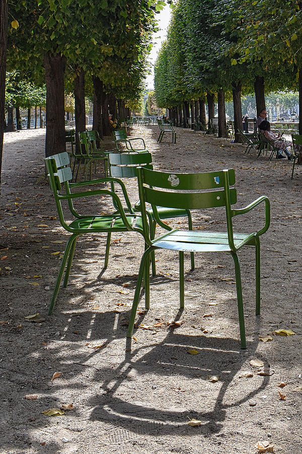 Paris Luxembourg Chairs Photograph by D Cochener Fine Art America