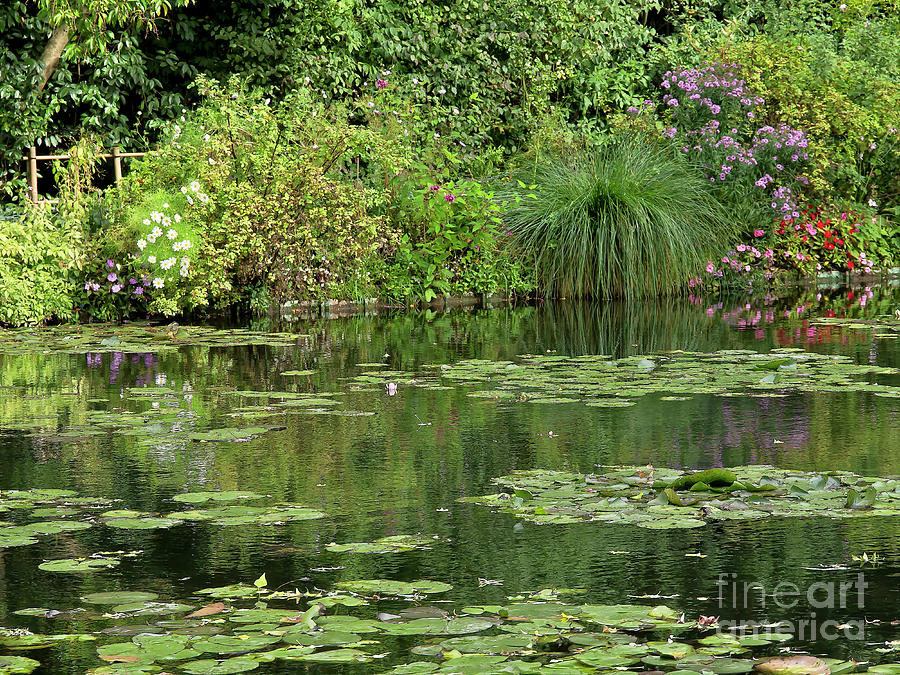 Claude Monets waterlily pond, spring, Giverny, France Photograph by Tatiana Bogracheva