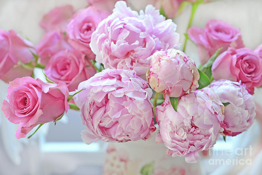 Paris Peonies and Roses Shabby Chic Dreamy Peonies - Romantic Paris Peonies and Roses Floral Art Photograph by Kathy Fornal