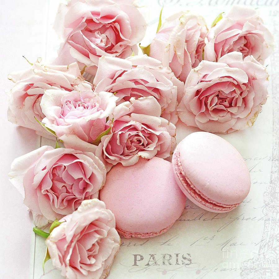 Paris Pink Roses Pink Macarons French Parisian Shabby Chic Prints Home Decor Photograph by Kathy Fornal