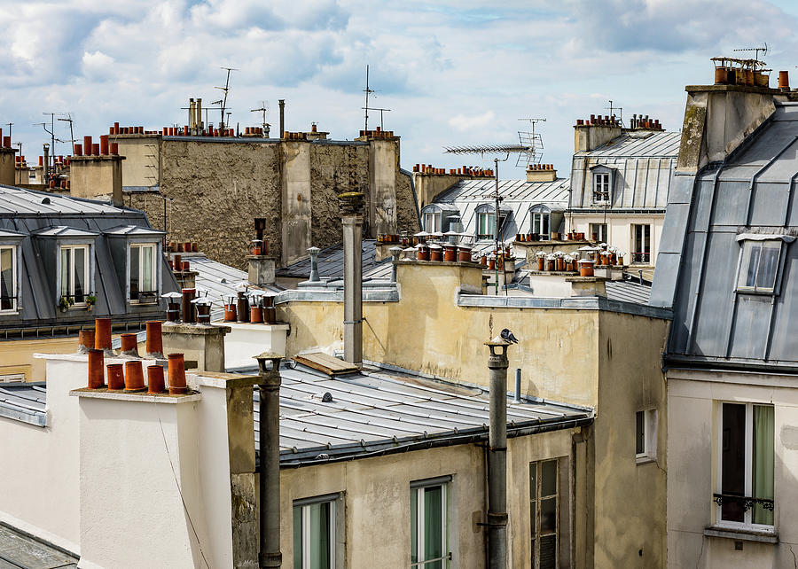 Paris Rooftops II  Photograph by Tim Fitzwater