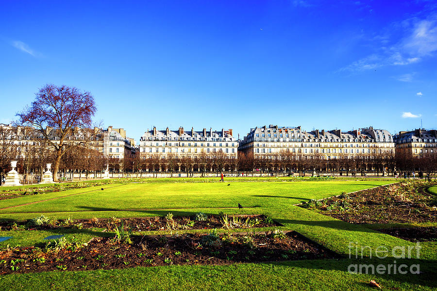 Paris Rue de Rivoli View from Tuileries Garden Photograph by John Rizzuto