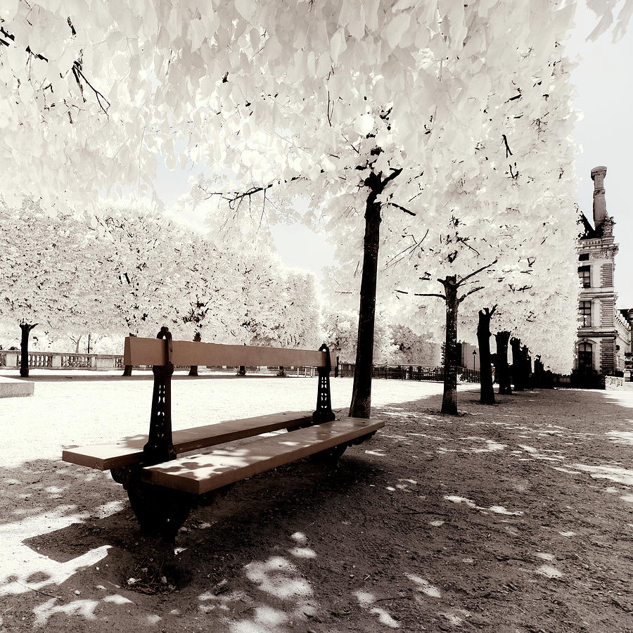 Paris Winter White Collection - Alley Louvre Photograph by Philippe HUGONNARD