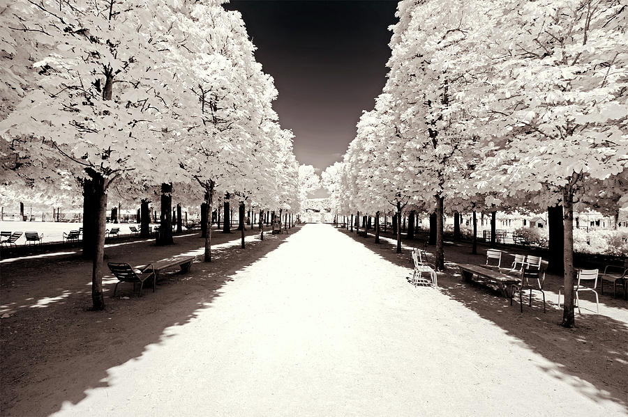 Paris Winter White Collection - Along the central aisle II Photograph by Philippe HUGONNARD