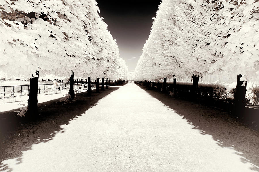 Paris Winter White Collection - Along the central aisle Photograph by Philippe HUGONNARD