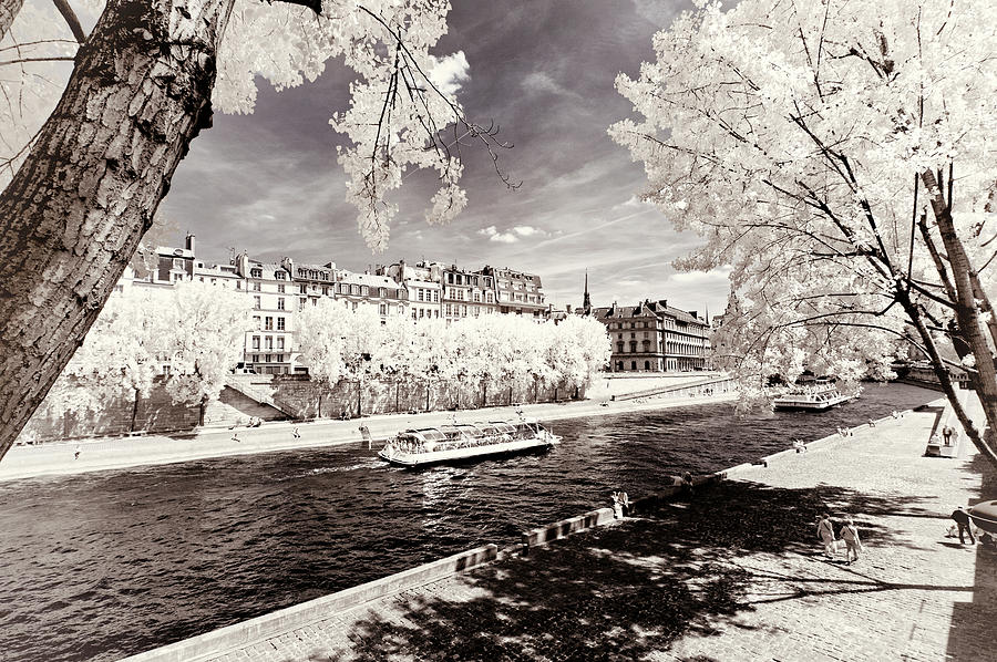Paris Winter White Collection - Along the Seine banks Photograph by Philippe HUGONNARD
