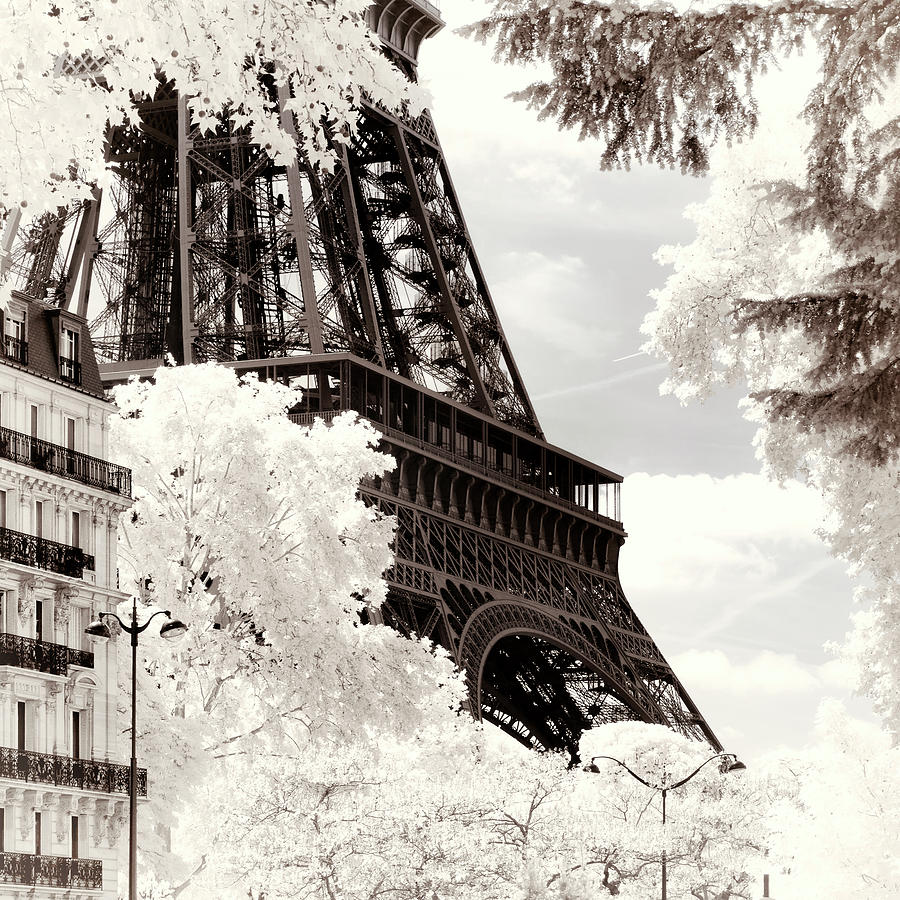 Paris Winter White Collection - Between leaves Photograph by Philippe HUGONNARD