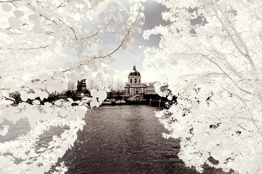 Paris Winter White Collection - Between the leaves Photograph by Philippe HUGONNARD