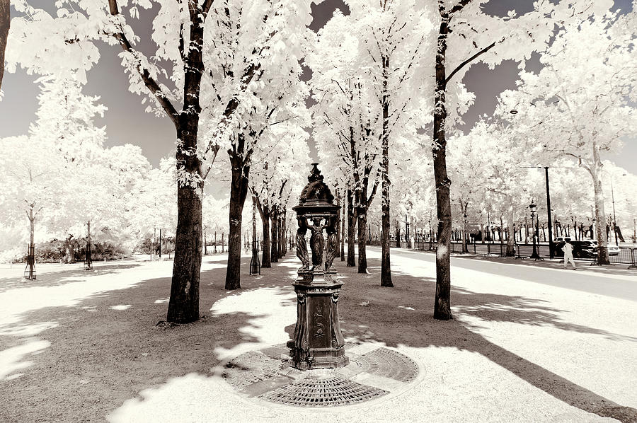 Paris Winter White Collection - Black fountain Photograph by Philippe HUGONNARD
