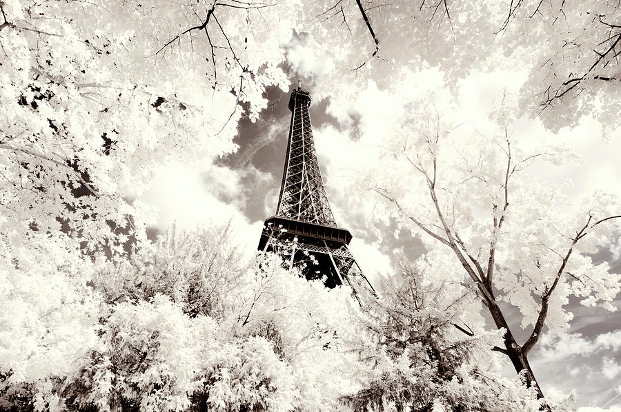 Paris Winter White Collection - Eiffel Tower Photograph by Philippe HUGONNARD
