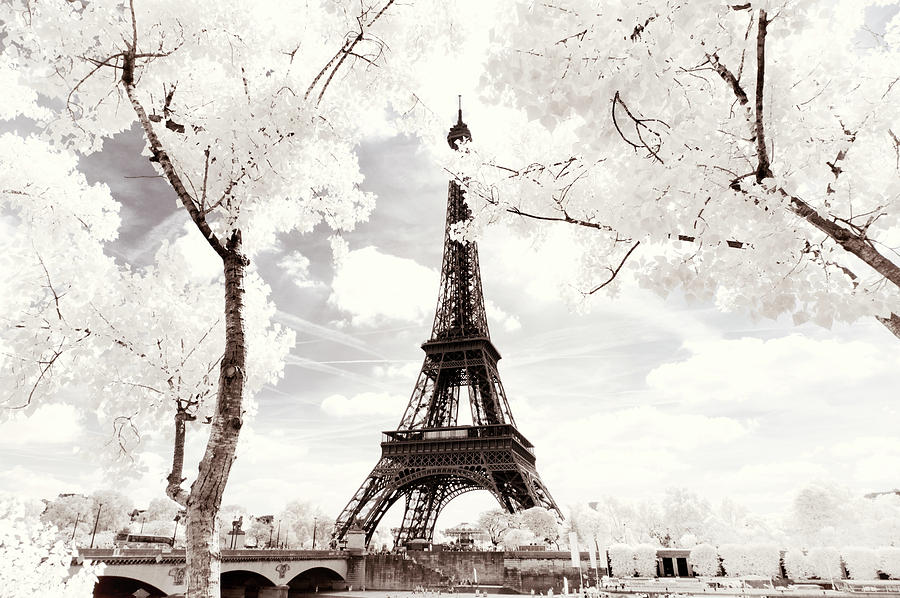 Paris Winter White Collection - Eiffel Whiteness Photograph by Philippe HUGONNARD