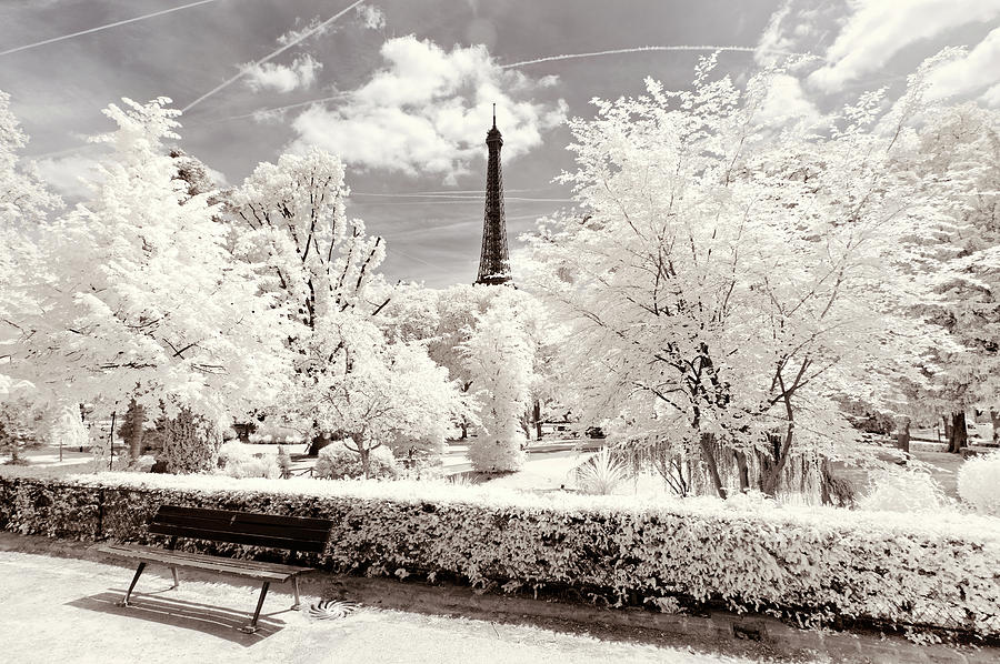 Paris Mixed Media - Paris Winter White Collection - Icy Winter by Philippe HUGONNARD