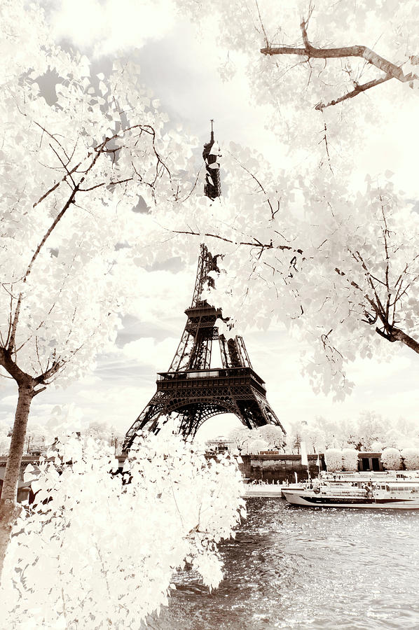 Paris Winter White Collection - Majesty Eiffel Photograph by Philippe HUGONNARD