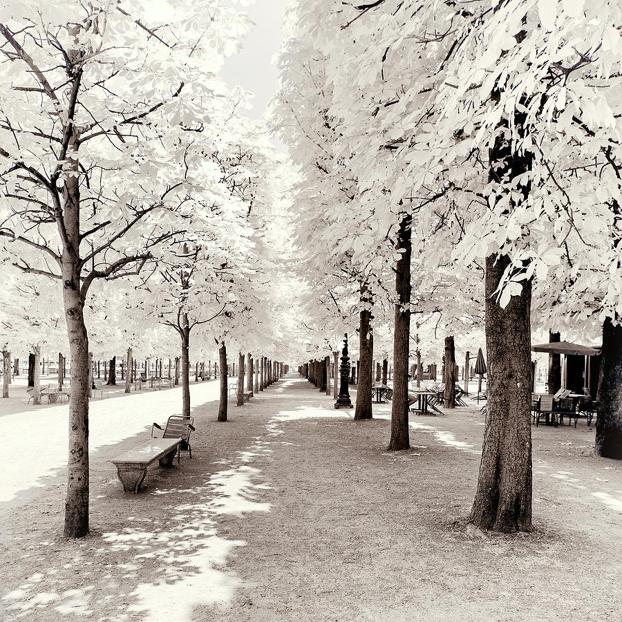 Paris Winter White Collection - Perspective Photograph by Philippe HUGONNARD