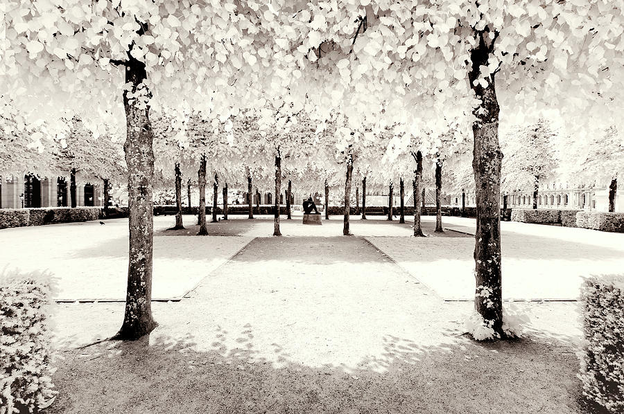 Paris Winter White Collection - Quiet atmosphere Photograph by Philippe HUGONNARD