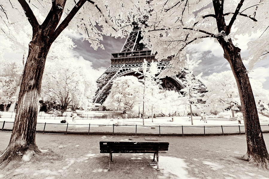 Paris Winter White Collection - Reflection Photograph by Philippe HUGONNARD
