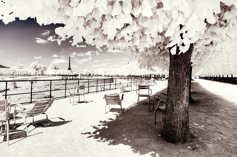 Paris Winter White Collection - Relaxation Photograph by Philippe HUGONNARD