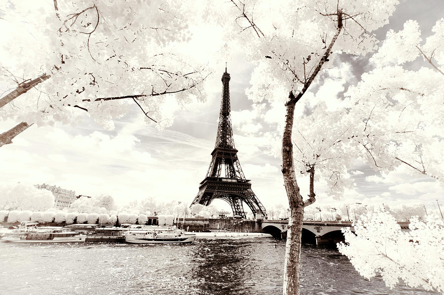 Paris Winter White Collection - River Seine Photograph by Philippe HUGONNARD