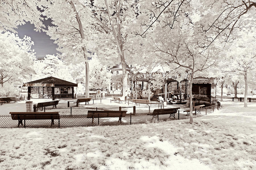 Paris Winter White Collection - Snowy Park Photograph by Philippe HUGONNARD