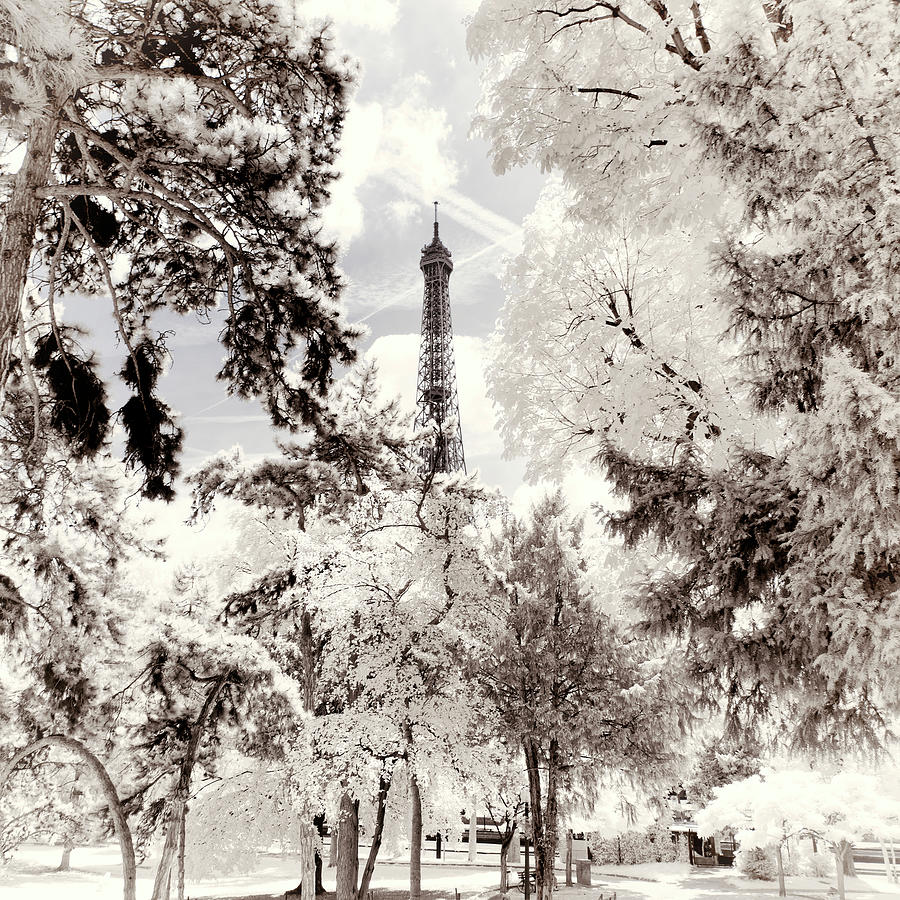 Paris Winter White Collection - Snowy Peaks Photograph by Philippe HUGONNARD