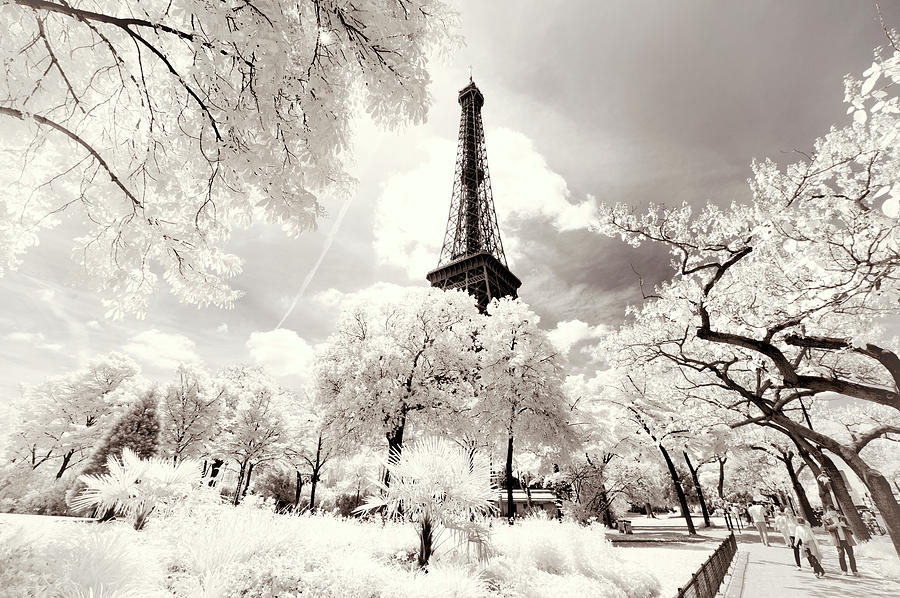 Paris Winter White Collection - Sunbeam Photograph by Philippe HUGONNARD