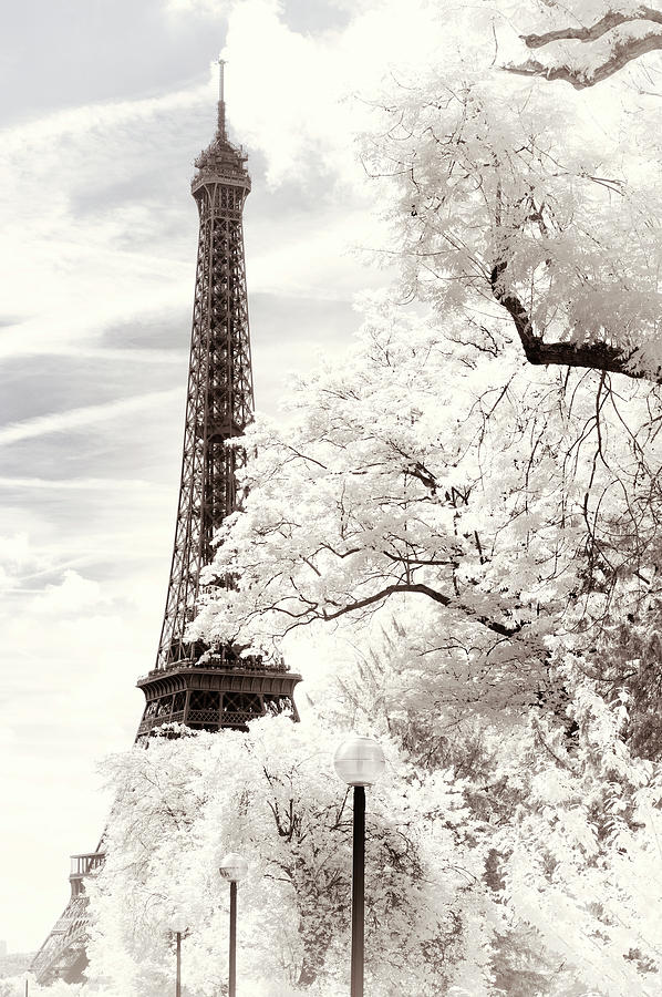 Paris Winter White Collection - The Eiffel Tower Photograph by Philippe HUGONNARD