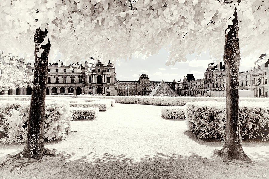 Paris Winter White Collection - The Louvre Photograph by Philippe HUGONNARD