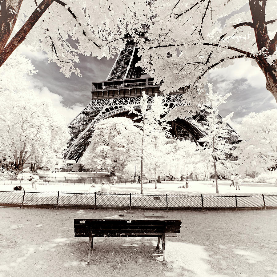 Paris Winter White Collection - To be alone in the world Photograph by Philippe HUGONNARD